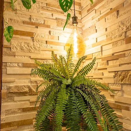 Luxurious 7p With Sauna, Near Paris, Metro 4 公寓 巴纽